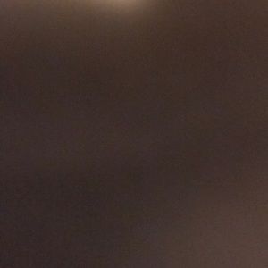 Meet your Posher, Sylvia